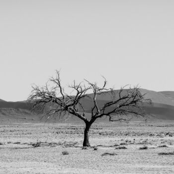 "Namib Desert-0927-SW" başlıklı Fotoğraf Uwe Bauch tarafından, Orijinal sanat, Dijital Fotoğrafçılık