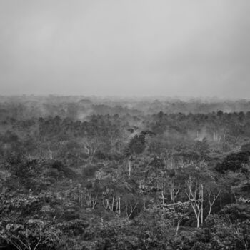 Photography titled "Amazonia-9123-SW" by Uwe Bauch, Original Artwork, Digital Photography
