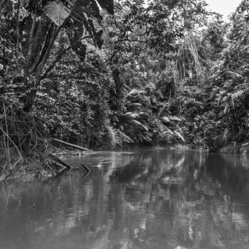 Photographie intitulée "Amazonia-8131-SW" par Uwe Bauch, Œuvre d'art originale, Photographie numérique