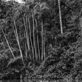 Photographie intitulée "Amazonia-8966-SW" par Uwe Bauch, Œuvre d'art originale, Photographie numérique