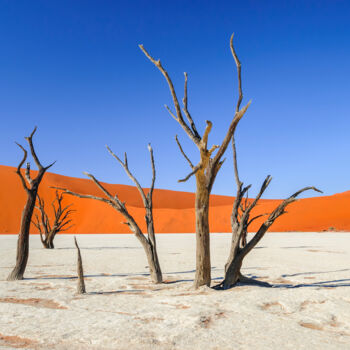 Photographie intitulée "Namib Desert-0723-7" par Uwe Bauch, Œuvre d'art originale, Photographie numérique