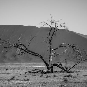 "Namib Desert-0942-SW" başlıklı Fotoğraf Uwe Bauch tarafından, Orijinal sanat, Dijital Fotoğrafçılık