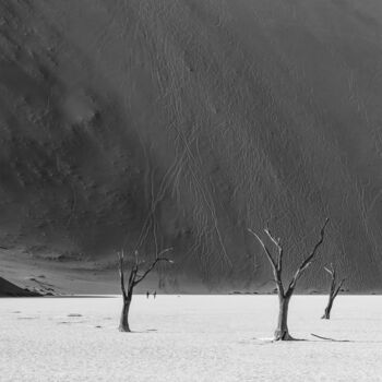 Photography titled "Namib Desert Panora…" by Uwe Bauch, Original Artwork, Digital Photography