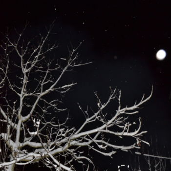 Photographie intitulée "Schönheit der Nacht" par Nisa Uzun, Œuvre d'art originale, Photographie argentique