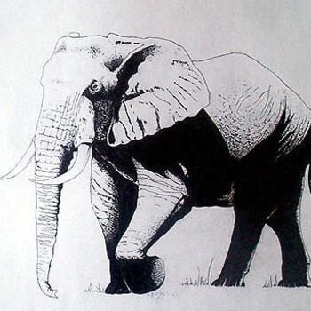 Dessin intitulée "Elephant" par Vachagan Gratian, Œuvre d'art originale, Autre
