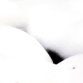 Malerei mit dem Titel "Snow" von Vadim Bogdanov, Original-Kunstwerk, Digitale Fotografie