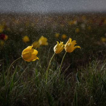 Photography titled "Silver rain" by Vadim Fedotov, Original Artwork, Digital Photography