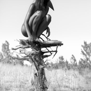 Photography titled "Lonely bird" by Vadim Fedotov, Original Artwork, Digital Photography