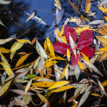 Fotografia intitulada "Autumn" por Vadim Fedotov, Obras de arte originais, Fotografia digital