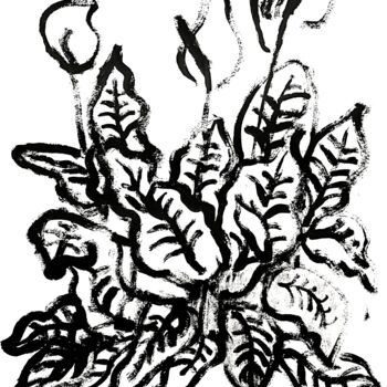 Drawing titled "Calla" by Vaenaton, Original Artwork, Acrylic