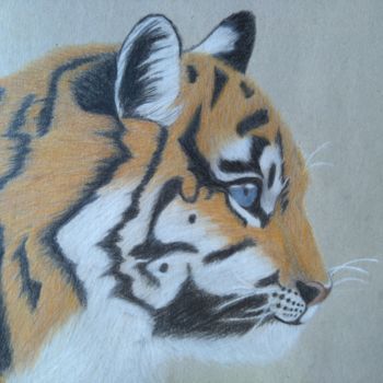 绘画 标题为“Tiger Cub” 由Ευαγγελος Λιακοπουλος, 原创艺术品, 粉彩