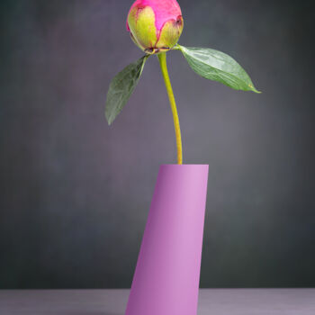 Fotografía titulada "peony flower in the…" por Val Thoermer, Obra de arte original, Fotografía digital