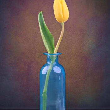Photographie intitulée "tulip flower" par Val Thoermer, Œuvre d'art originale, Photographie numérique