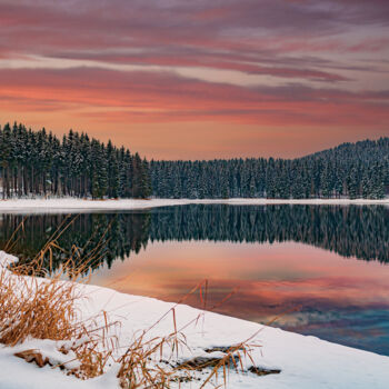 Fotografía titulada "Forest lake" por Val Thoermer, Obra de arte original, Fotografía digital