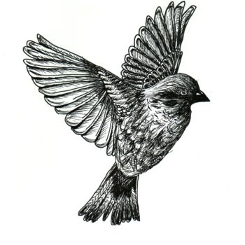 Drawing titled "Oiseau" by Valentine Fasquel, Original Artwork