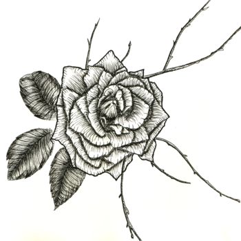 Drawing titled "Rose" by Valentine Fasquel, Original Artwork