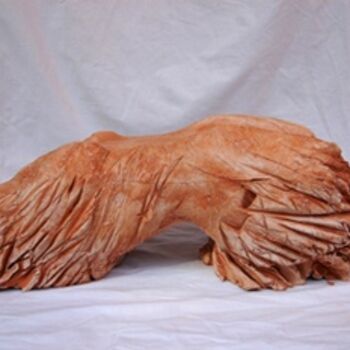 Sculpture titled "Costato" by Valeria Ferrero, Original Artwork, Terra cotta