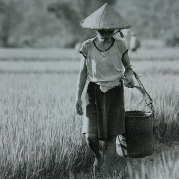 Fotografía titulada "Vietnam" por Valériane, Obra de arte original
