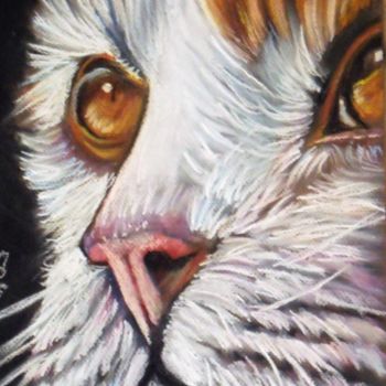 Painting titled "Chat Choux" by Valérie Barrett, Original Artwork, Pastel