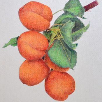Drawing titled "Les abricots - Styl…" by Valérie Jouffroy Ricotta, Original Artwork, Ballpoint pen