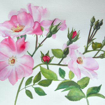 Painting titled "HS16 Roses Roses" by Valérie Frenel, Original Artwork, Watercolor