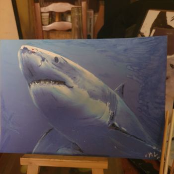 Drawing titled "Requin blanc" by Valerie Roure, Original Artwork, Pencil