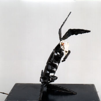 Sculptuur getiteld "Anatomy study: rabb…" door Valerio Saltarelli Savi, Origineel Kunstwerk, Bot
