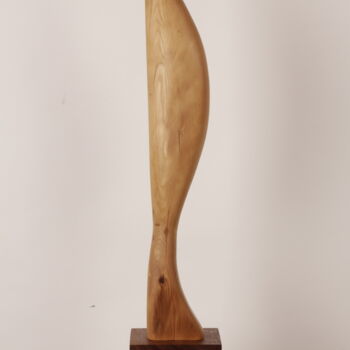 Skulptur mit dem Titel "Bird in space 2( af…" von Valeriu Cazacevschi, Original-Kunstwerk, Holz