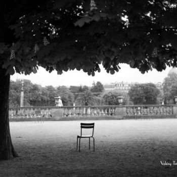 Fotografia zatytułowany „Jardin du Luxembourg” autorstwa Valery Trillaud, Oryginalna praca, Fotografia cyfrowa