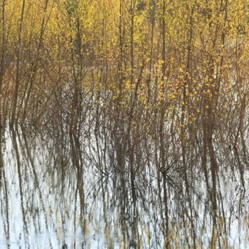 Photography titled "Rives de Loire 1" by Valery Trillaud, Original Artwork, Non Manipulated Photography
