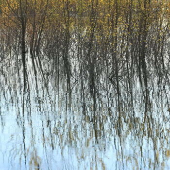 Photography titled "Blois rives de Loire" by Valery Trillaud, Original Artwork, Non Manipulated Photography