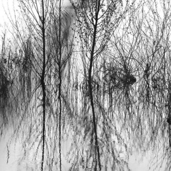 Photographie intitulée "Au fil de l'eau 1" par Valery Trillaud, Œuvre d'art originale, Photographie non manipulée