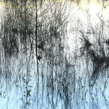 Photographie intitulée "Au fil de l'eau 2" par Valery Trillaud, Œuvre d'art originale, Photographie non manipulée
