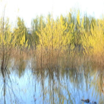 Photography titled "Rives de Loire 2" by Valery Trillaud, Original Artwork, Non Manipulated Photography