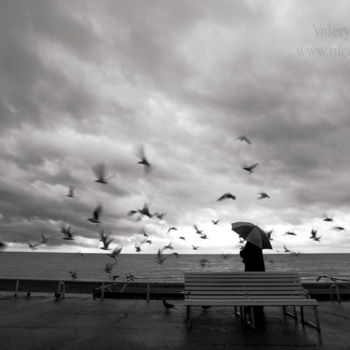 Photography titled "les-mouettes-nice.j…" by Valery Trillaud, Original Artwork