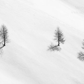 Fotografia intitulada "arbre-neige-montagn…" por Valery Trillaud, Obras de arte originais