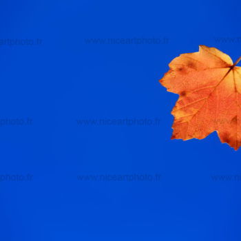 Photography titled "paysage-automne-02.…" by Valery Trillaud, Original Artwork