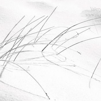 Fotografie getiteld "Calligraphie hivern…" door Valery Trillaud, Origineel Kunstwerk, Niet gemanipuleerde fotografie