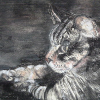 Disegno intitolato "Zoé , le chat d'Ama…" da Vandorpe Amdv, Opera d'arte originale, Pastello