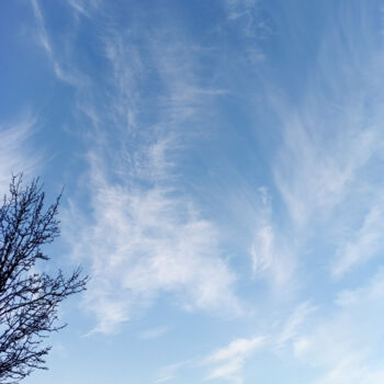 Photographie intitulée "Ciel hivernal" par Vanessa Baegne, Œuvre d'art originale, Photographie numérique