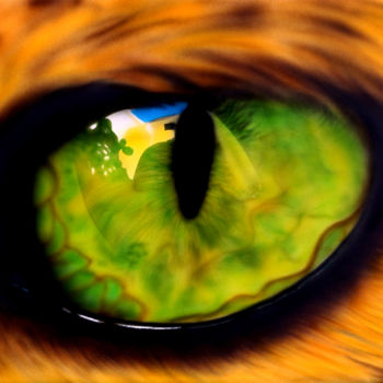 Painting titled "Katten oog" by Nesdesign, Original Artwork, Airbrush