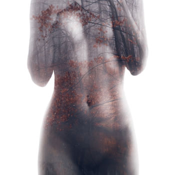 Photographie intitulée "Nymph" par Vanillaviking, Œuvre d'art originale, Autre