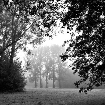Photographie intitulée "Foggy Forest" par Vanja Rosenthal, Œuvre d'art originale, Photographie numérique