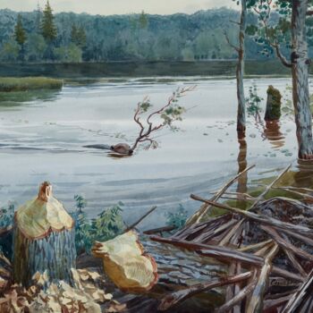 Картина под названием "Бобровый залив" - Варвара Саливан, Подлинное произведение искусства, Акварель
