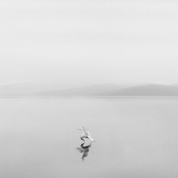 Фотография под названием "Lov (fishing)" - Varvara Shtern, Подлинное произведение искусства, Цифровая фотография
