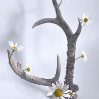 Photographie intitulée "Spring 2" par Varvara Shtern, Œuvre d'art originale, Photographie numérique