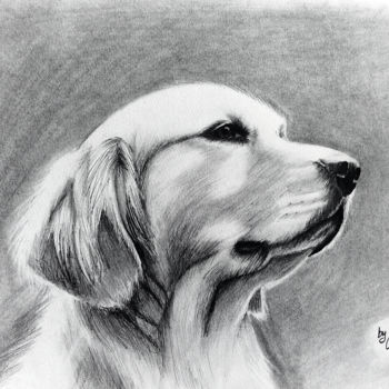 Desenho intitulada "Dog" por Vasilika Chilikina, Obras de arte originais, Lápis