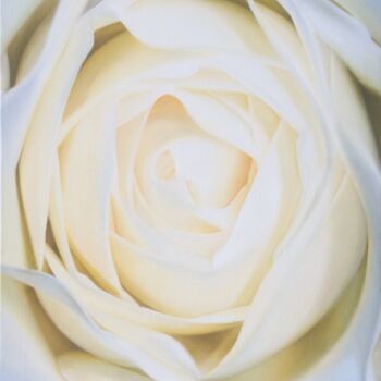 Картина под названием "White Rose" - Vasily Luchkiv, Подлинное произведение искусства, Масло