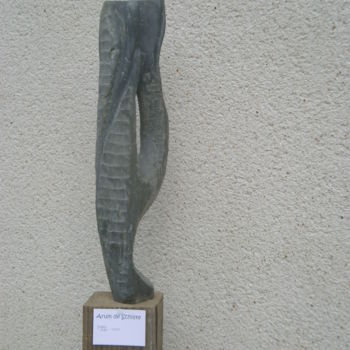 Sculpture titled "Arum de Schiste" by Power, Original Artwork, Stone