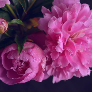 Photographie intitulée "Flowerissimo_13760" par Michael Vdovin, Œuvre d'art originale, Photographie numérique